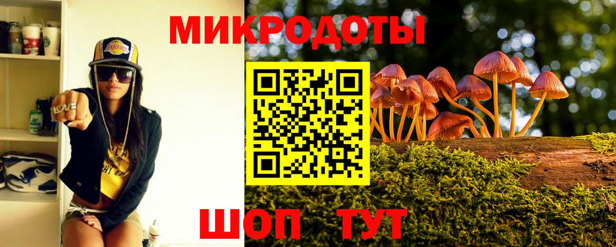 Псилоцибиновые грибы Psilocybe Ярославль